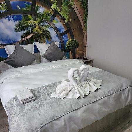 באלוטשטי Casa Ratiu Airport Bucharest Therme Bucharest מראה חיצוני תמונה